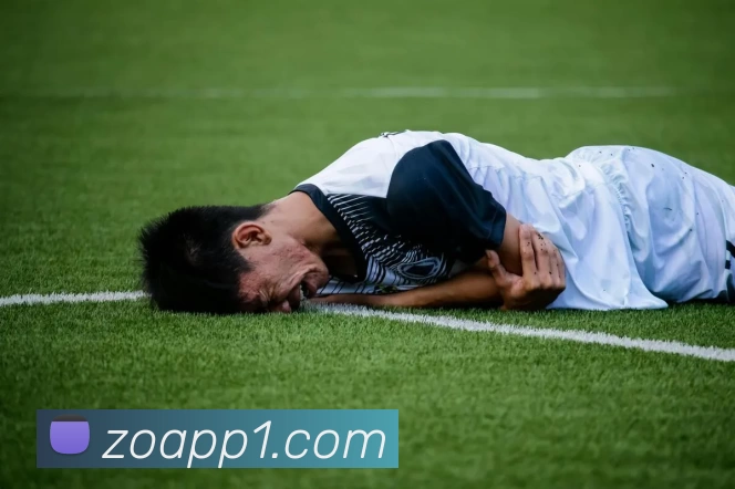 中欧体育APP全站App